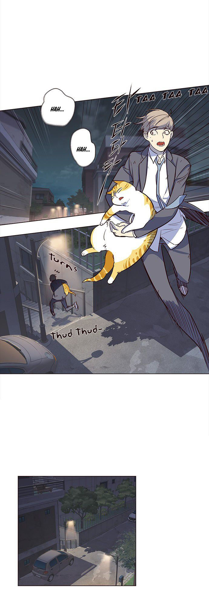 Hoá Thân Thành Mèo - Chapter 3 - Page 17