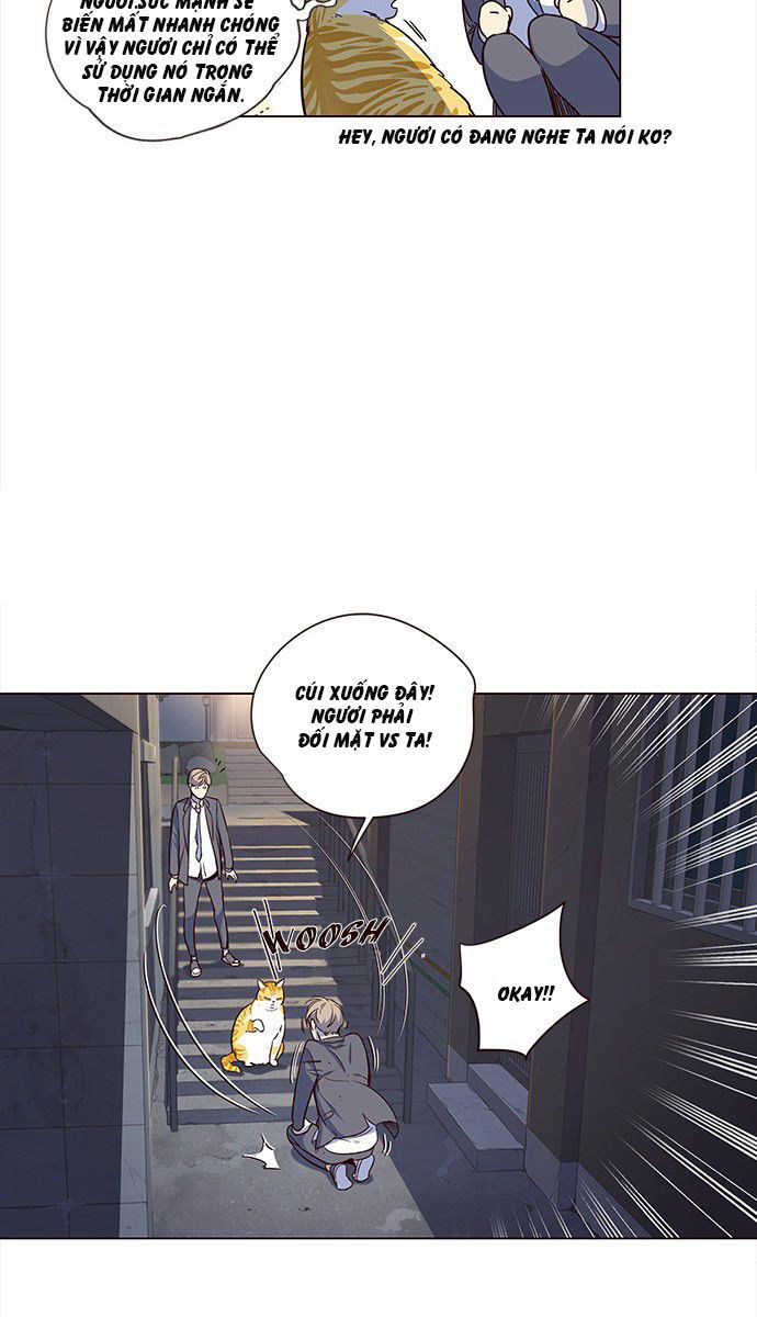 Hoá Thân Thành Mèo - Chapter 3 - Page 26