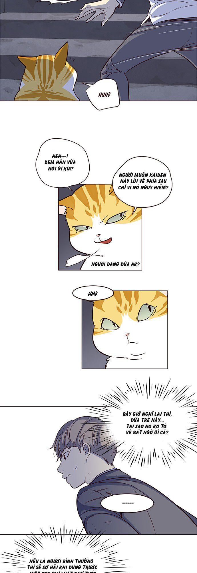 Hoá Thân Thành Mèo - Chapter 3 - Page 33