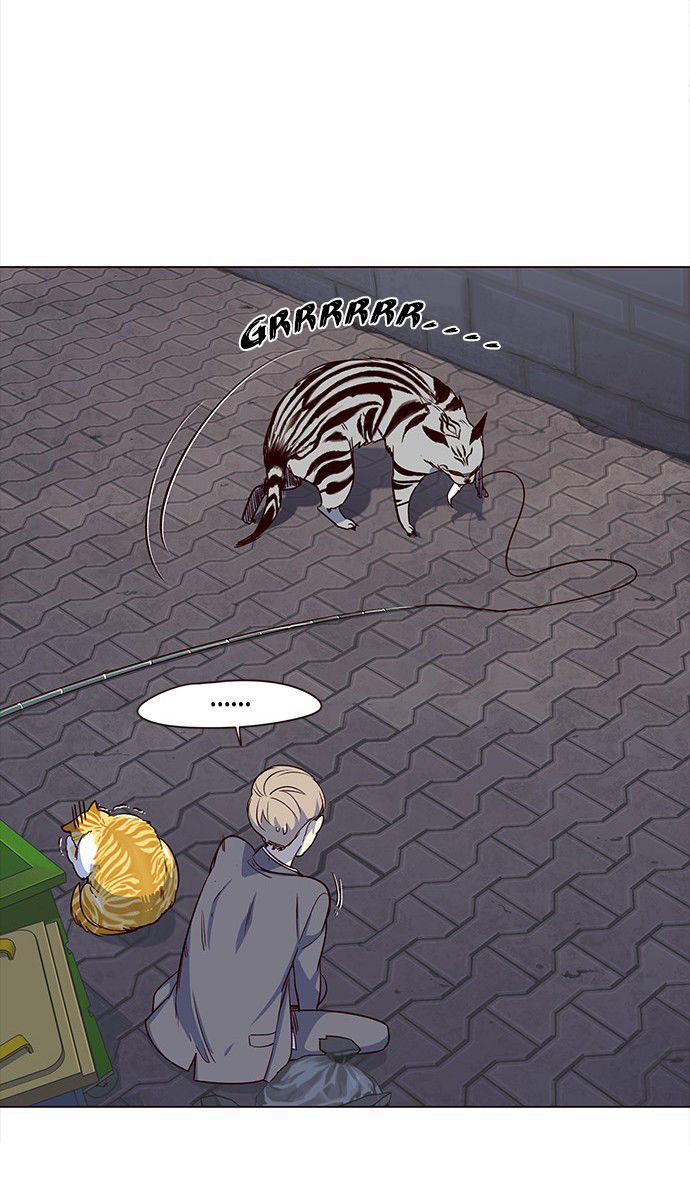 Hoá Thân Thành Mèo - Chapter 3 - Page 9