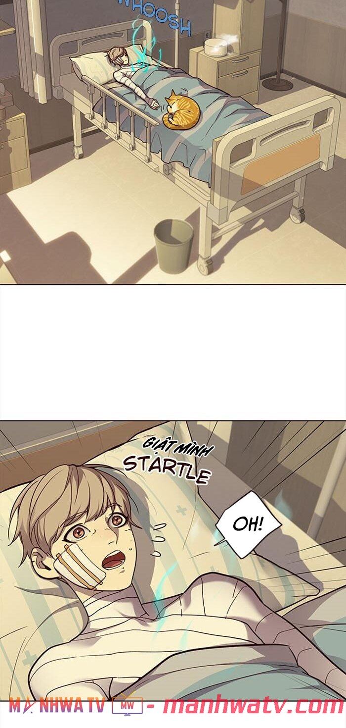 Hoá Thân Thành Mèo - Chapter 30 - Page 4