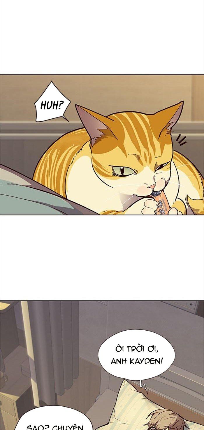 Hoá Thân Thành Mèo - Chapter 30 - Page 5