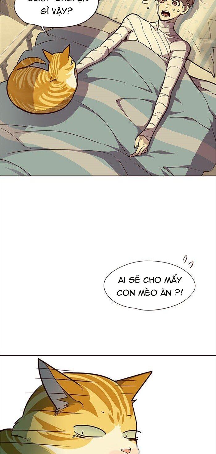 Hoá Thân Thành Mèo - Chapter 30 - Page 6