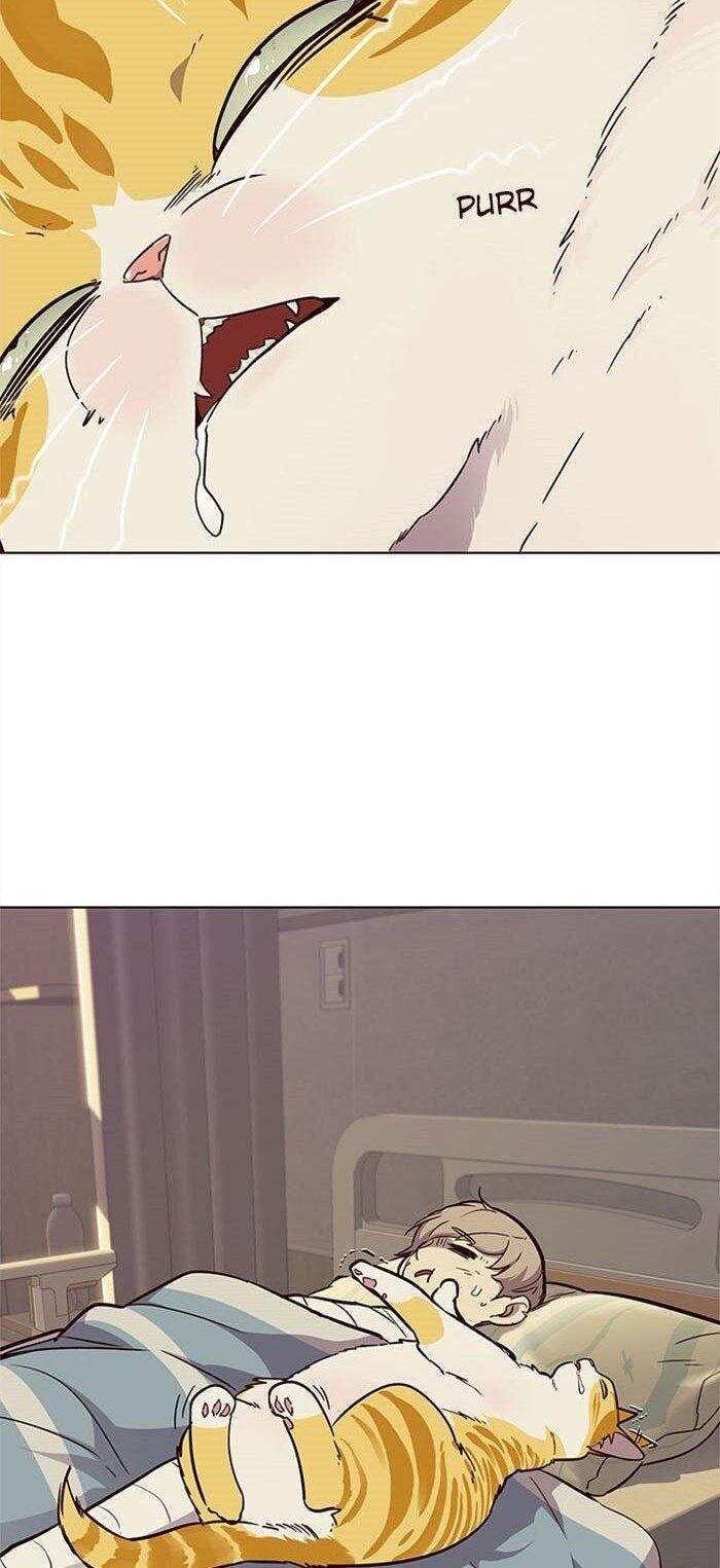 Hoá Thân Thành Mèo - Chapter 30 - Page 65