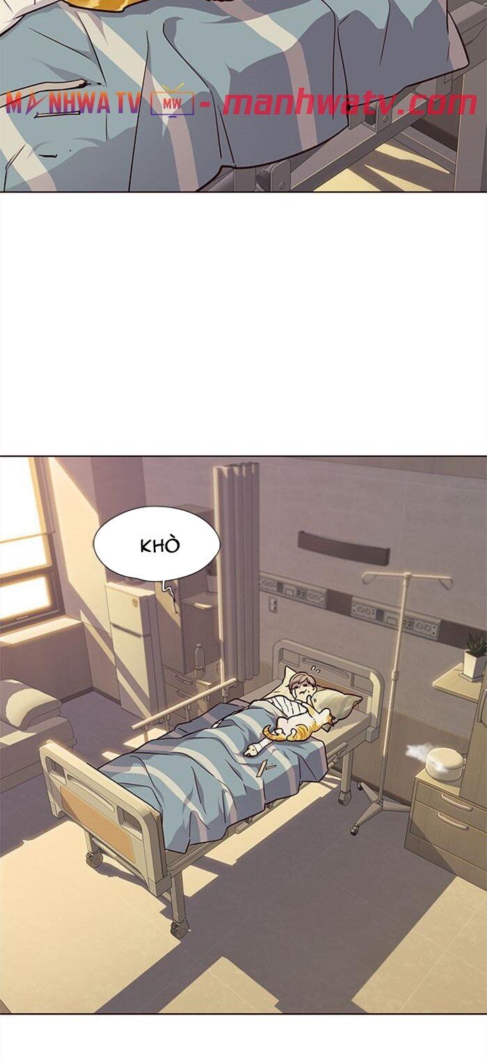 Hoá Thân Thành Mèo - Chapter 30 - Page 66