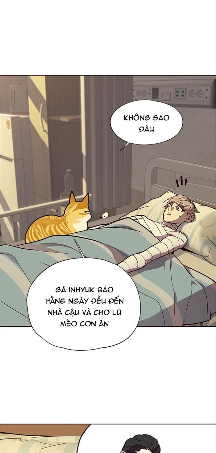 Hoá Thân Thành Mèo - Chapter 30 - Page 8