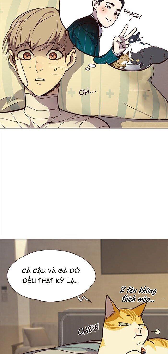 Hoá Thân Thành Mèo - Chapter 30 - Page 9