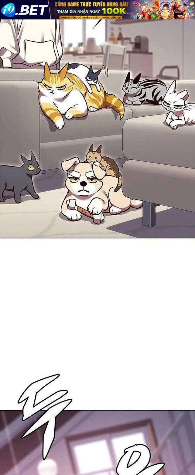 Hoá Thân Thành Mèo - Chapter 308 - Page 27