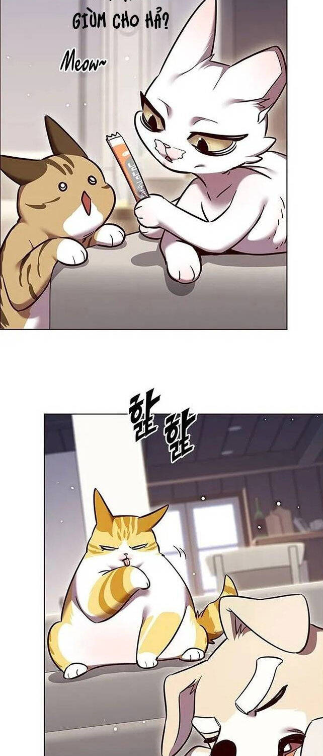 Hoá Thân Thành Mèo - Chapter 308 - Page 52