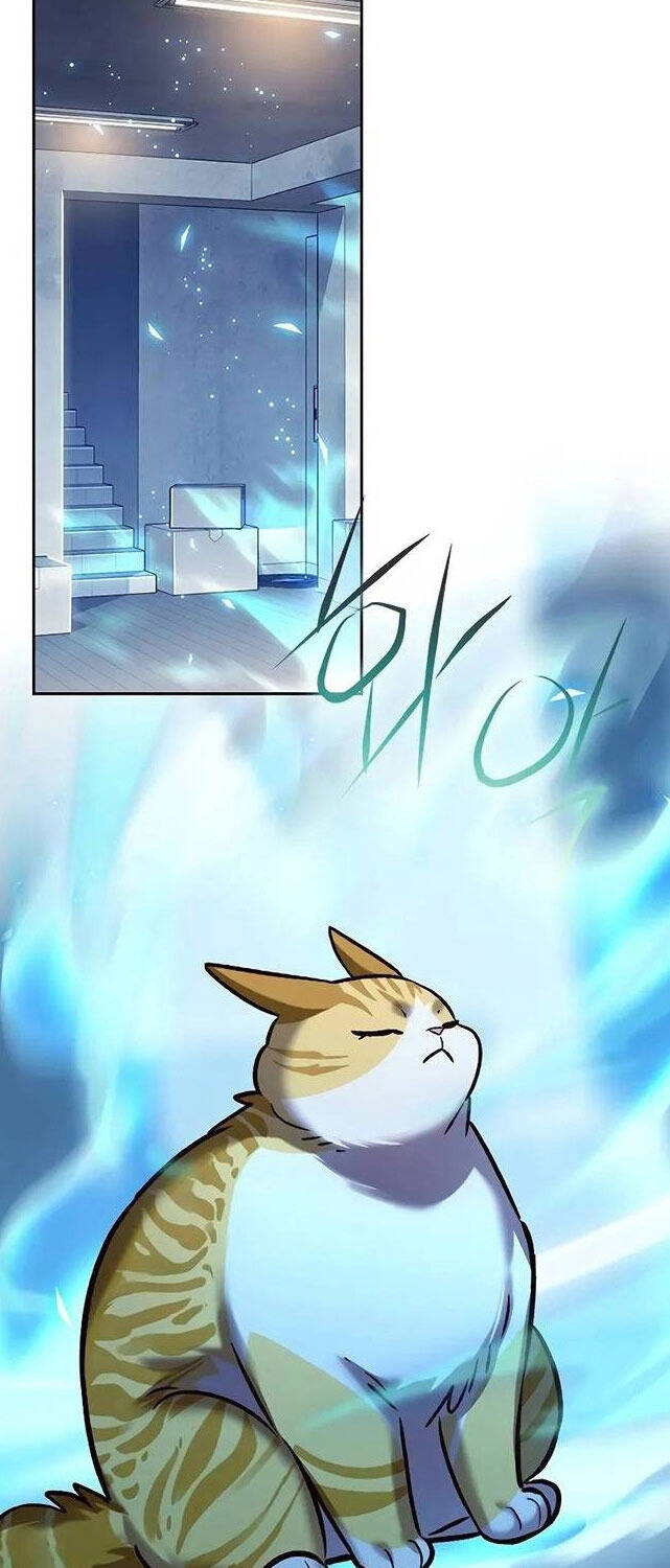 Hoá Thân Thành Mèo - Chapter 309 - Page 30