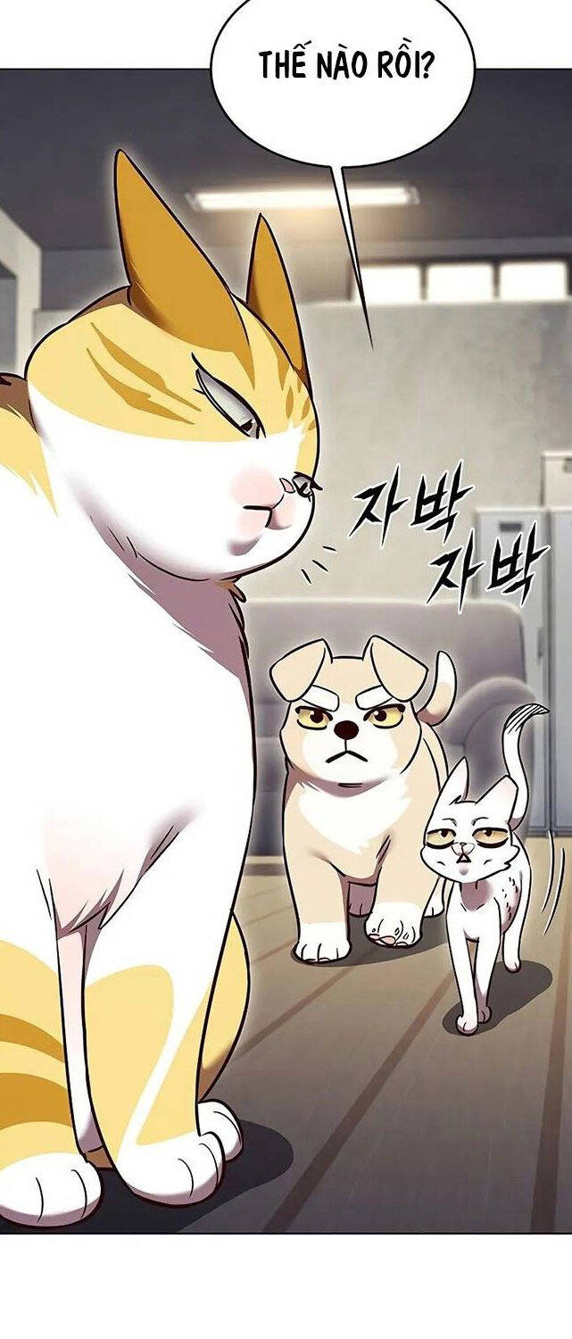 Hoá Thân Thành Mèo - Chapter 309 - Page 35
