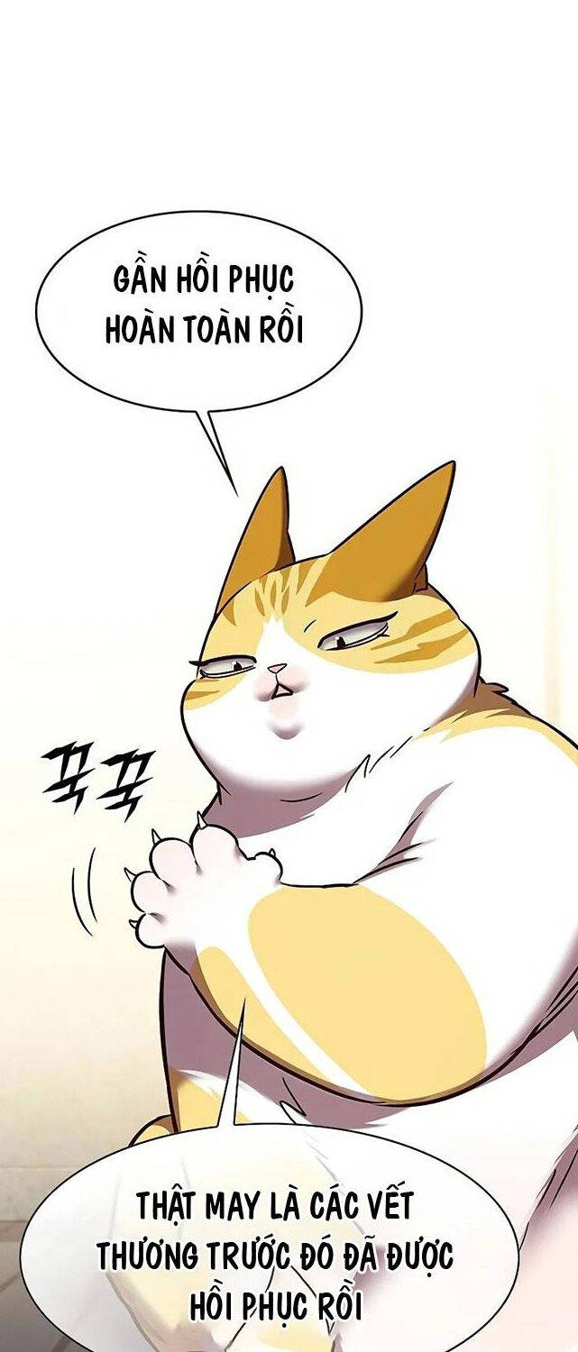 Hoá Thân Thành Mèo - Chapter 309 - Page 36