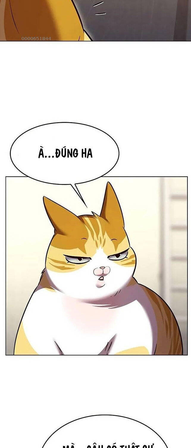 Hoá Thân Thành Mèo - Chapter 309 - Page 40