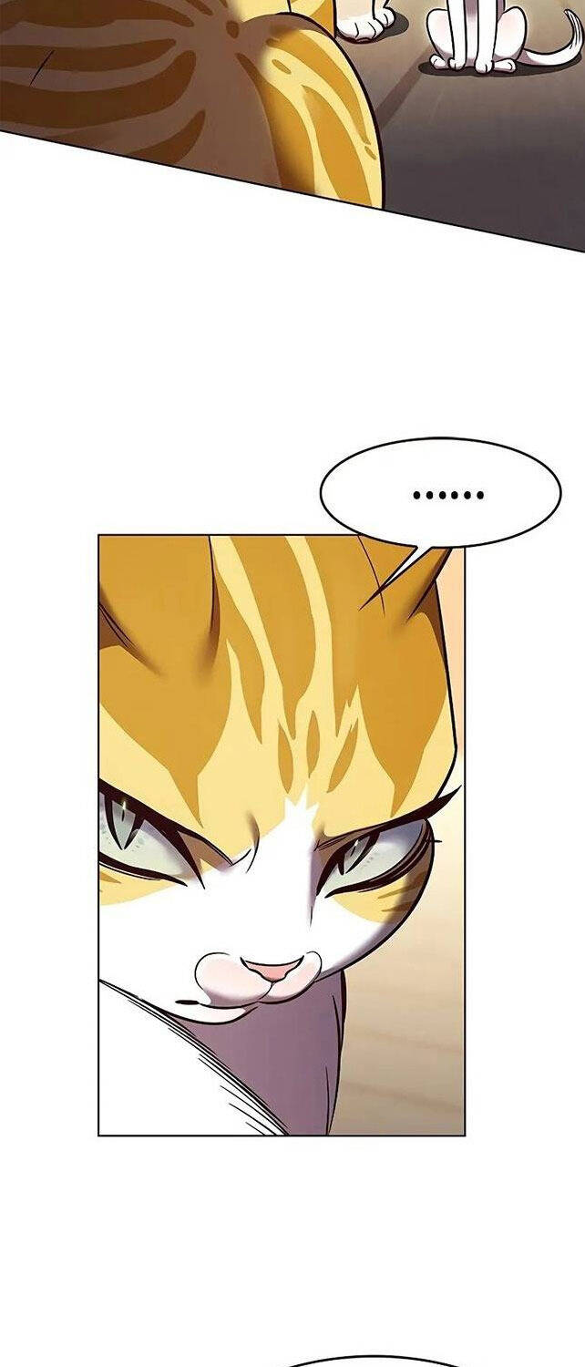 Hoá Thân Thành Mèo - Chapter 309 - Page 47