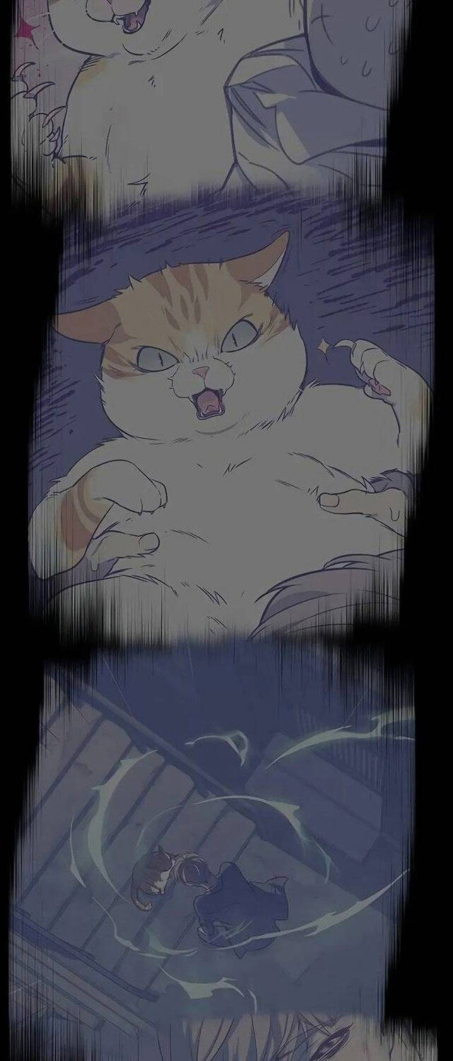 Hoá Thân Thành Mèo - Chapter 309 - Page 68