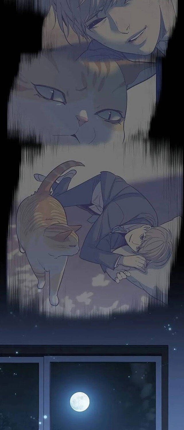 Hoá Thân Thành Mèo - Chapter 309 - Page 69