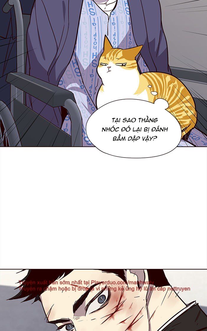 Hoá Thân Thành Mèo - Chapter 32 - Page 52