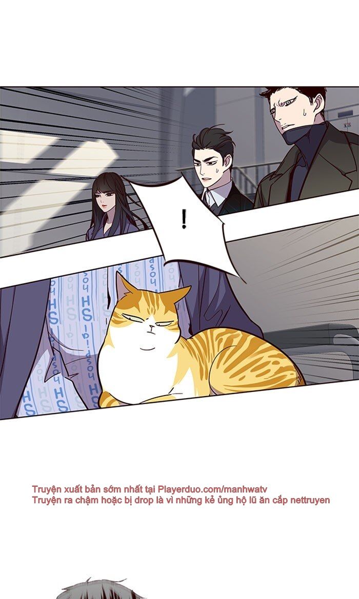 Hoá Thân Thành Mèo - Chapter 32 - Page 79