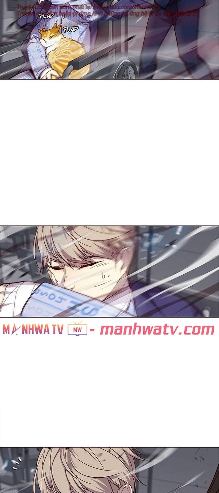 Hoá Thân Thành Mèo - Chapter 33 - Page 17