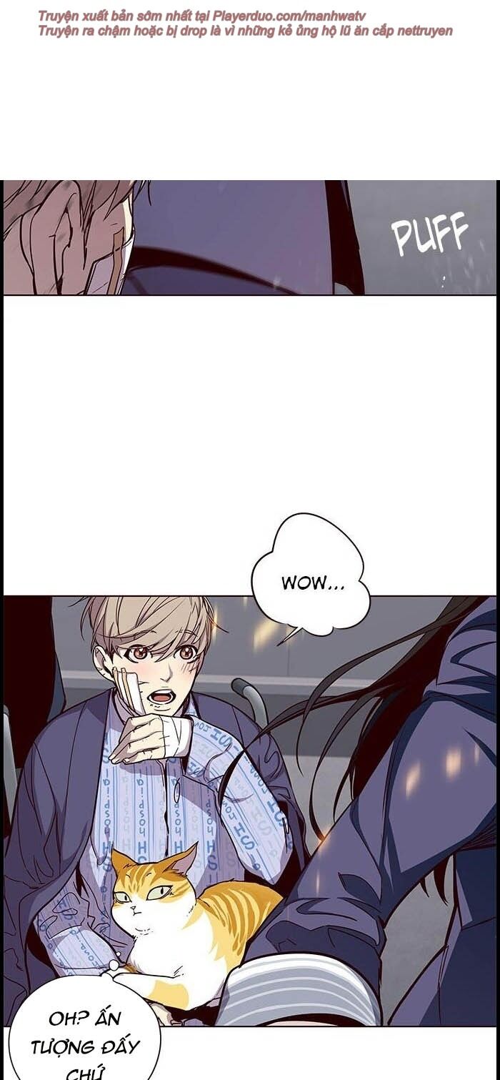 Hoá Thân Thành Mèo - Chapter 33 - Page 19