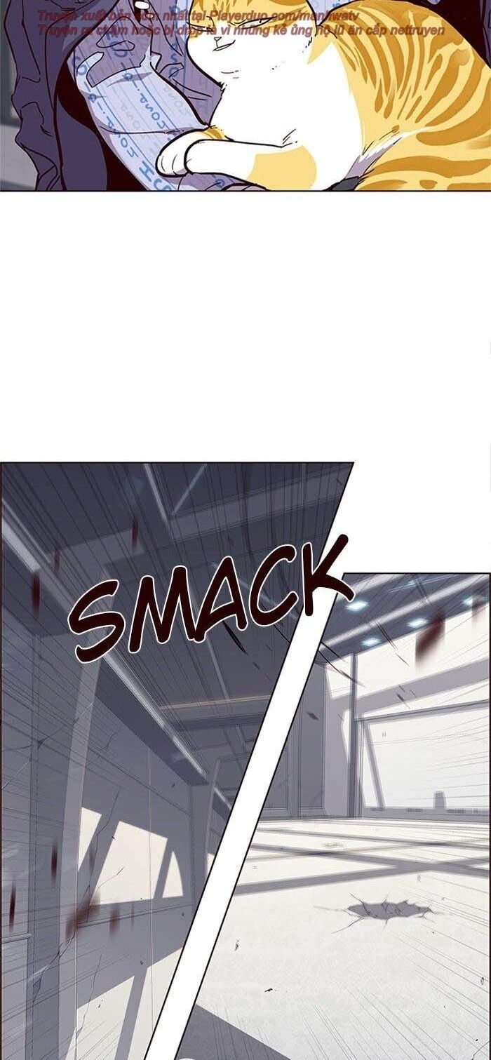 Hoá Thân Thành Mèo - Chapter 33 - Page 24