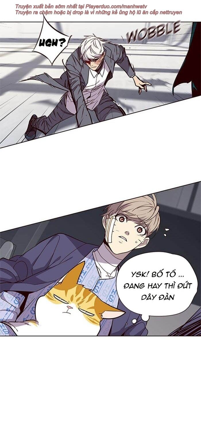 Hoá Thân Thành Mèo - Chapter 33 - Page 31