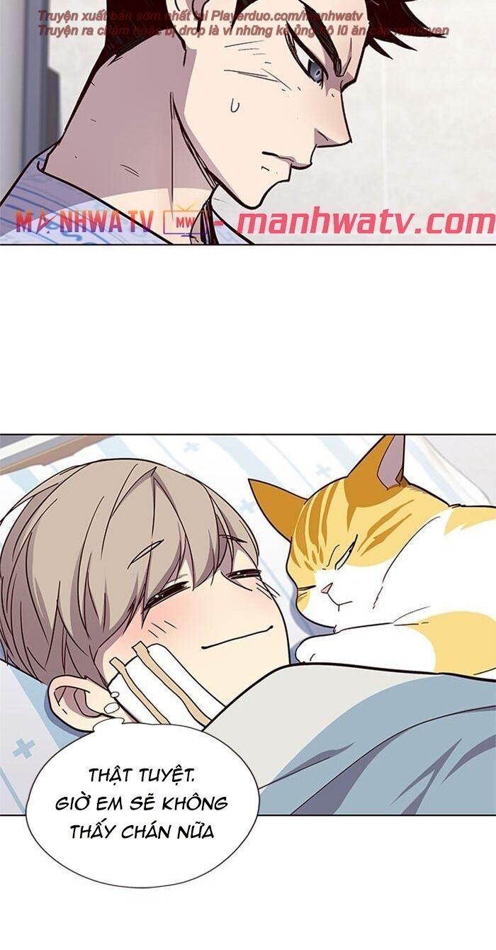 Hoá Thân Thành Mèo - Chapter 33 - Page 66