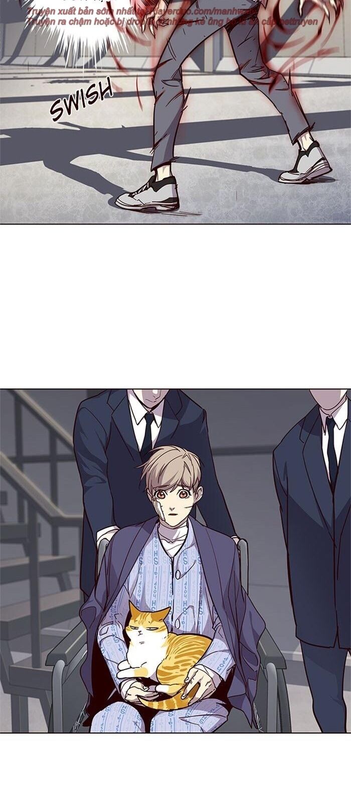Hoá Thân Thành Mèo - Chapter 33 - Page 8