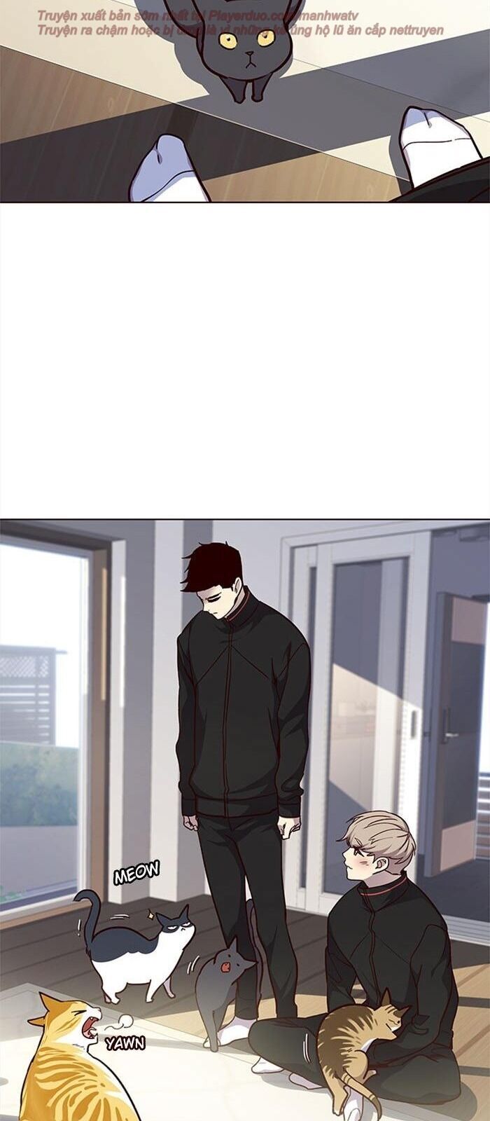 Hoá Thân Thành Mèo - Chapter 34 - Page 105