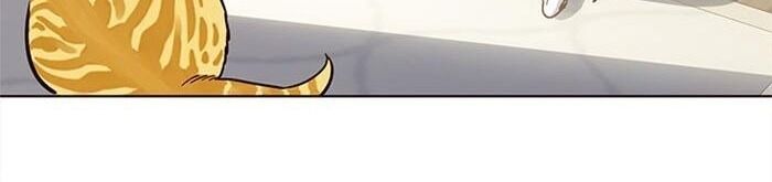 Hoá Thân Thành Mèo - Chapter 34 - Page 106