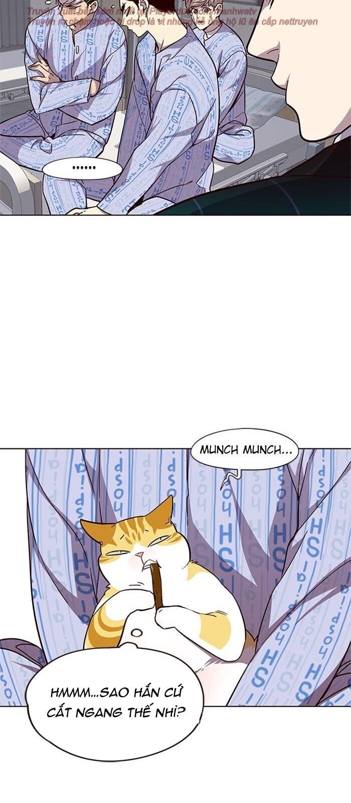 Hoá Thân Thành Mèo - Chapter 34 - Page 49