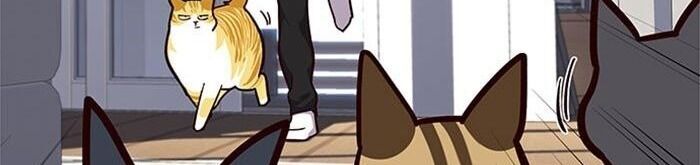 Hoá Thân Thành Mèo - Chapter 34 - Page 84