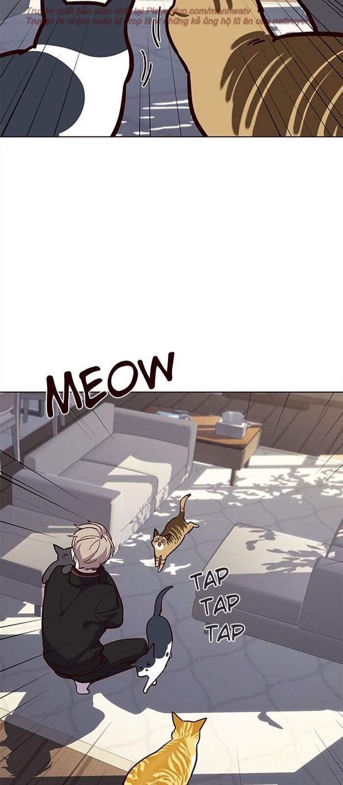 Hoá Thân Thành Mèo - Chapter 34 - Page 85