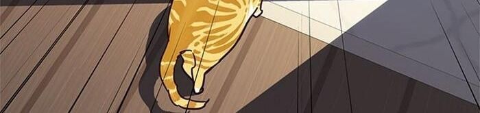 Hoá Thân Thành Mèo - Chapter 34 - Page 86