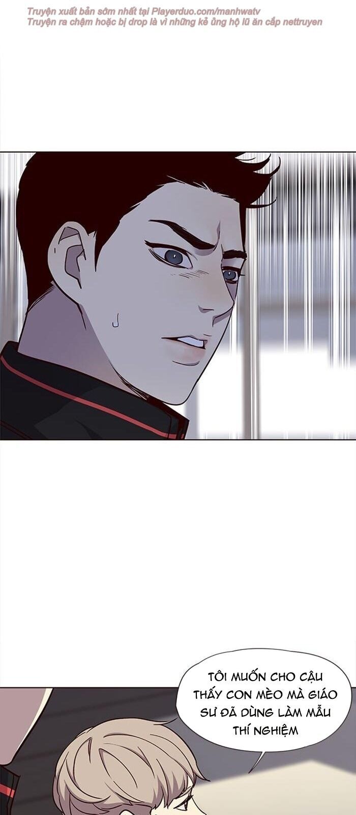 Hoá Thân Thành Mèo - Chapter 34 - Page 91