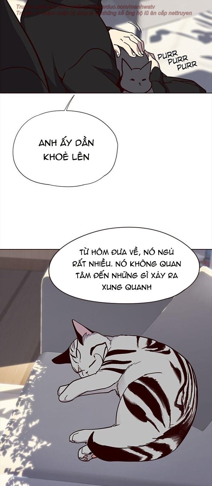 Hoá Thân Thành Mèo - Chapter 34 - Page 93