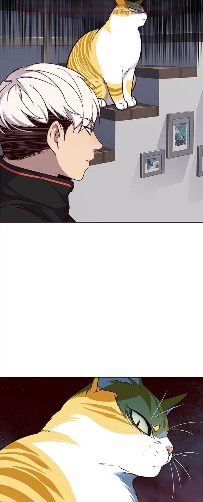 Hoá Thân Thành Mèo - Chapter 35 - Page 12