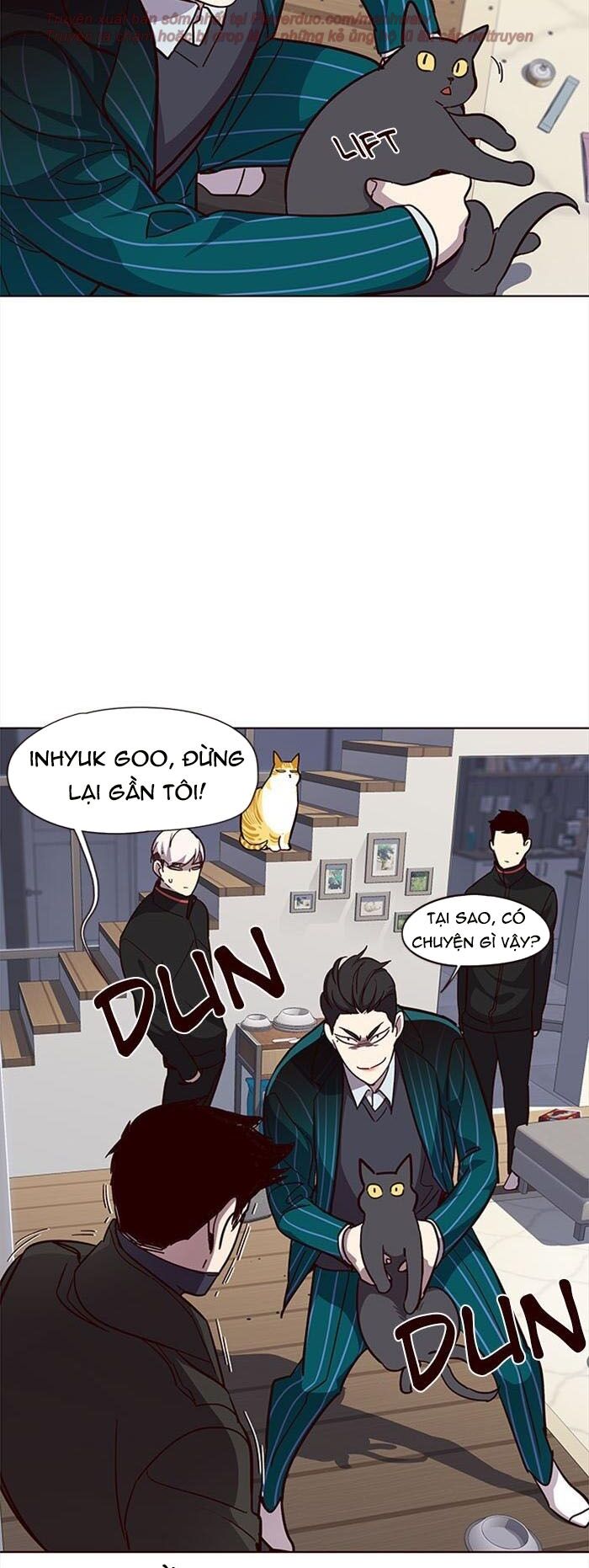 Hoá Thân Thành Mèo - Chapter 35 - Page 22