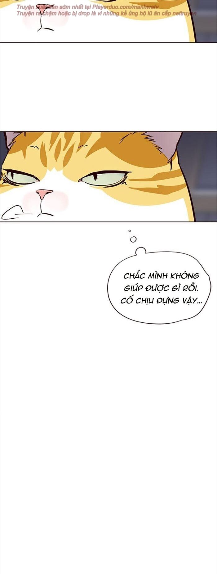 Hoá Thân Thành Mèo - Chapter 35 - Page 33