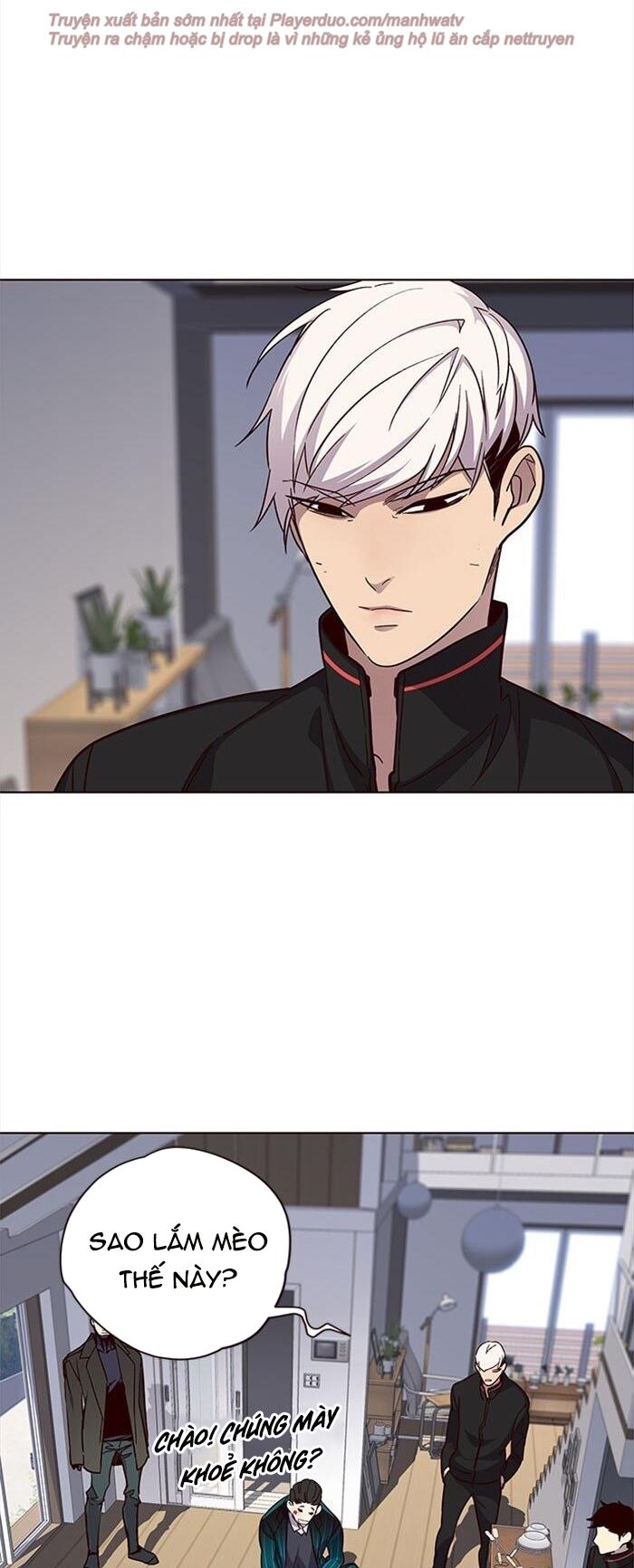 Hoá Thân Thành Mèo - Chapter 35 - Page 4