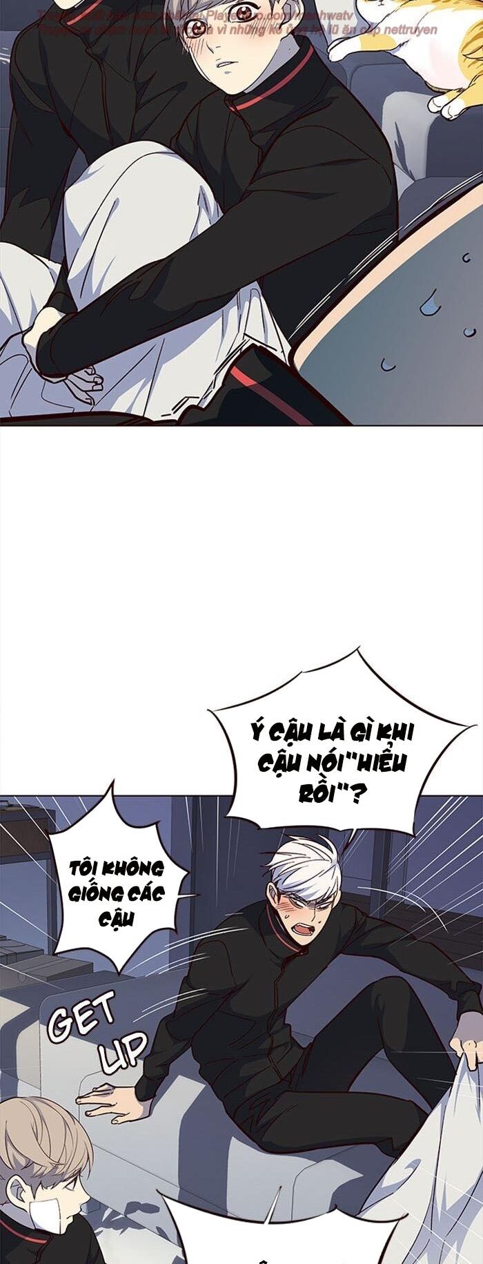 Hoá Thân Thành Mèo - Chapter 35 - Page 49