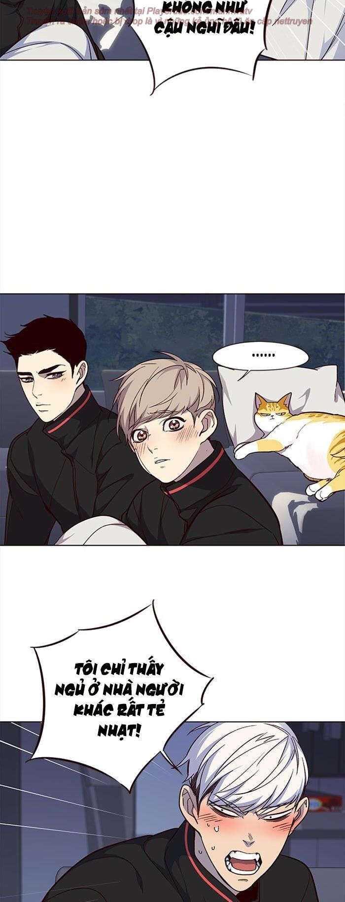Hoá Thân Thành Mèo - Chapter 35 - Page 50