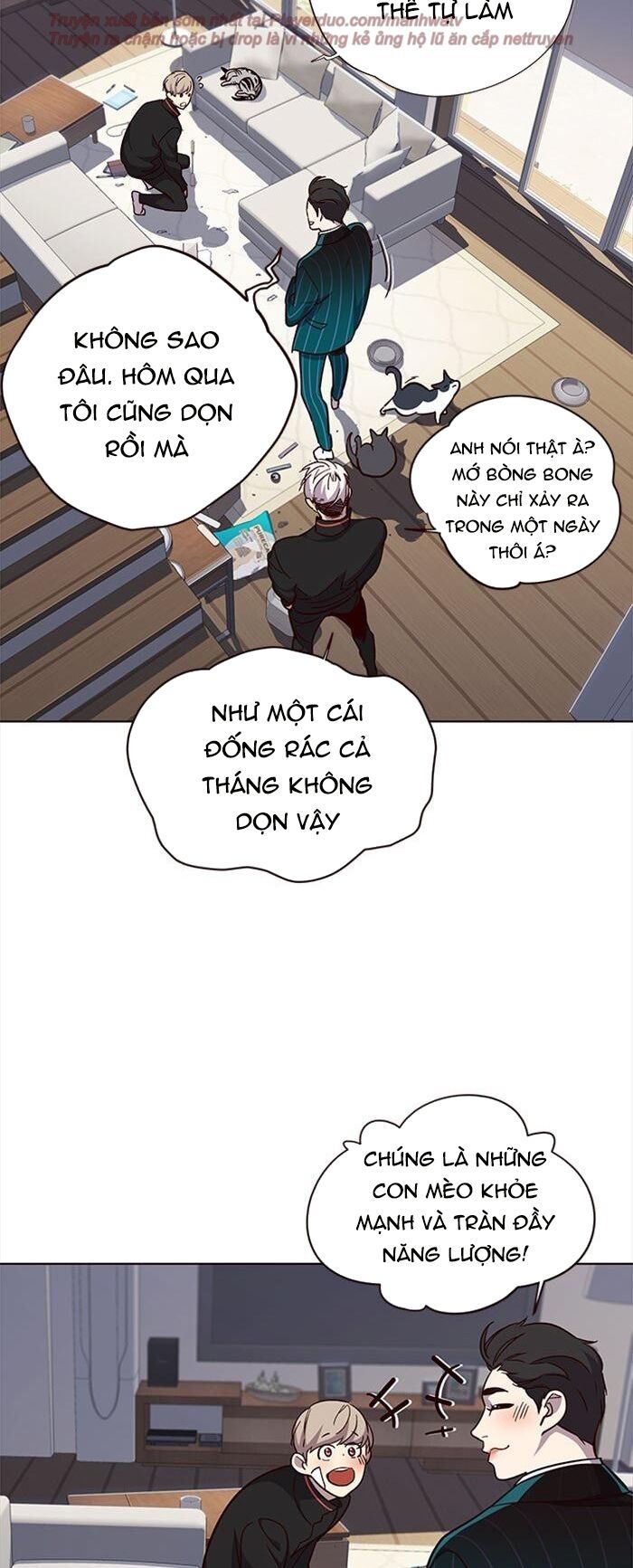 Hoá Thân Thành Mèo - Chapter 35 - Page 6