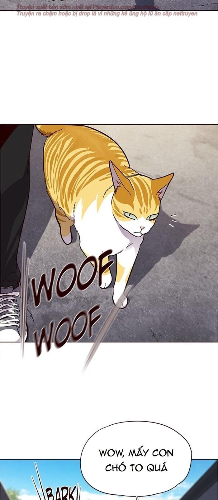Hoá Thân Thành Mèo - Chapter 36 - Page 103