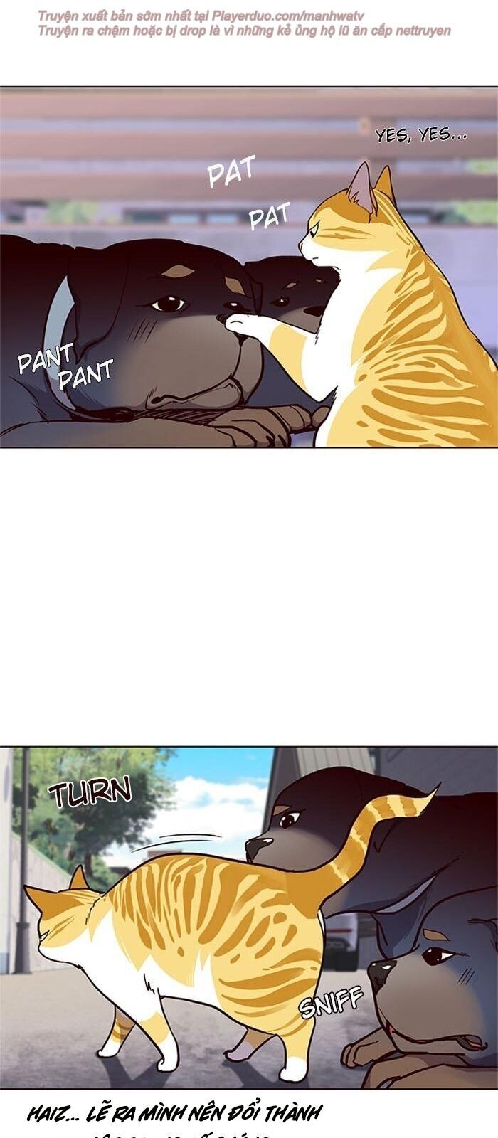 Hoá Thân Thành Mèo - Chapter 36 - Page 129