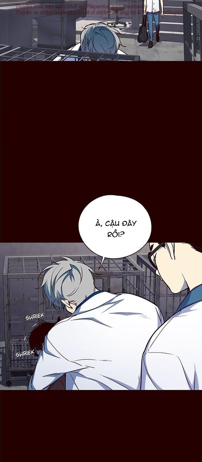 Hoá Thân Thành Mèo - Chapter 36 - Page 13
