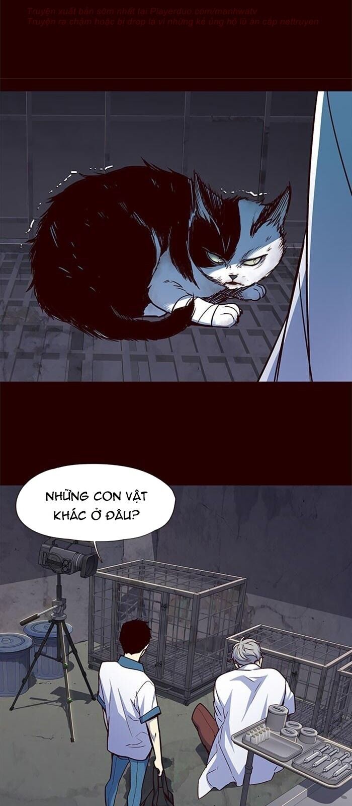 Hoá Thân Thành Mèo - Chapter 36 - Page 15