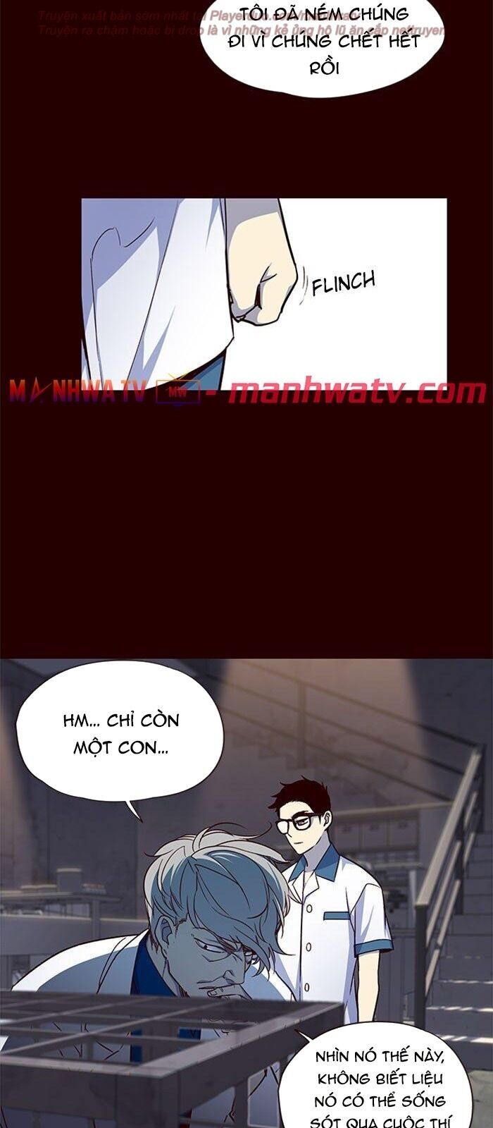 Hoá Thân Thành Mèo - Chapter 36 - Page 17