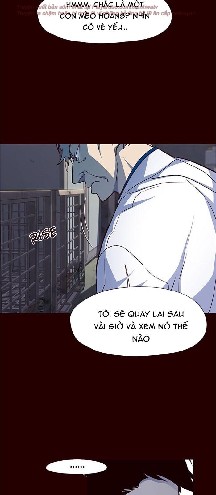 Hoá Thân Thành Mèo - Chapter 36 - Page 19