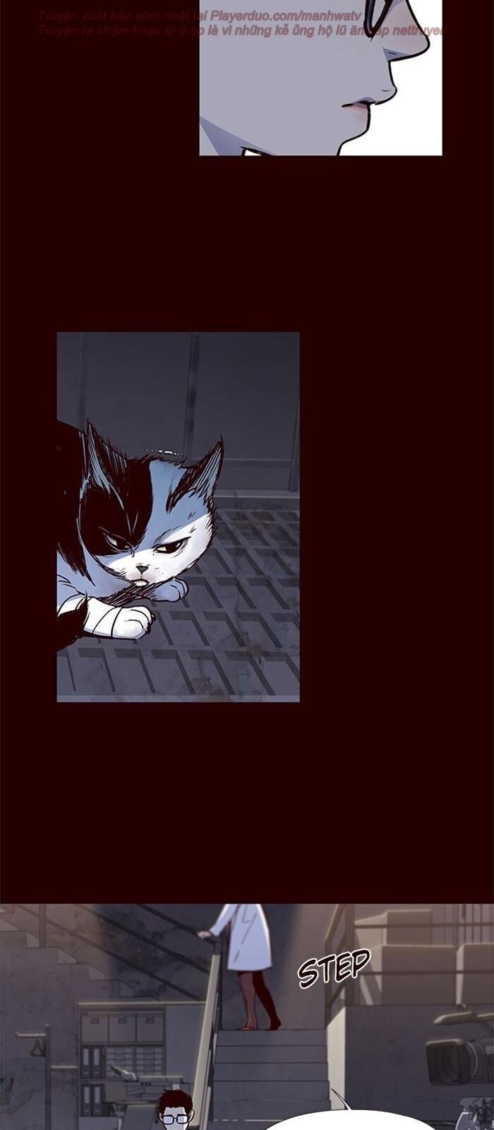 Hoá Thân Thành Mèo - Chapter 36 - Page 21